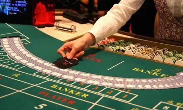 bet555